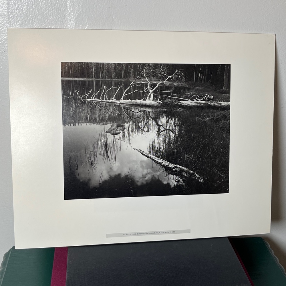 Ansel Adams Siesta Lake Yosemite National Park CA 1958 Black & White Print Board